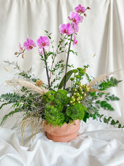 ORQUÍDEA GREEN
