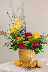 COPA TULIPÁN